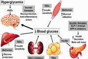 A pharmacogenetic pilot study of CYP2C9 common genetic variant and sulfonylureas therapeutic response in type 2 diabetes mellitus patients