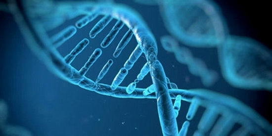 genetic {faces}