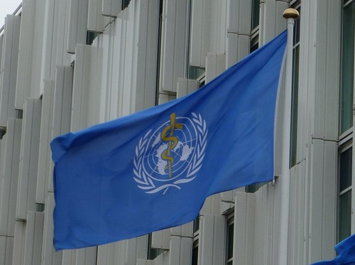 WHO Recognizes Endocrinology and Metabolism Institute as Collaborating Centre